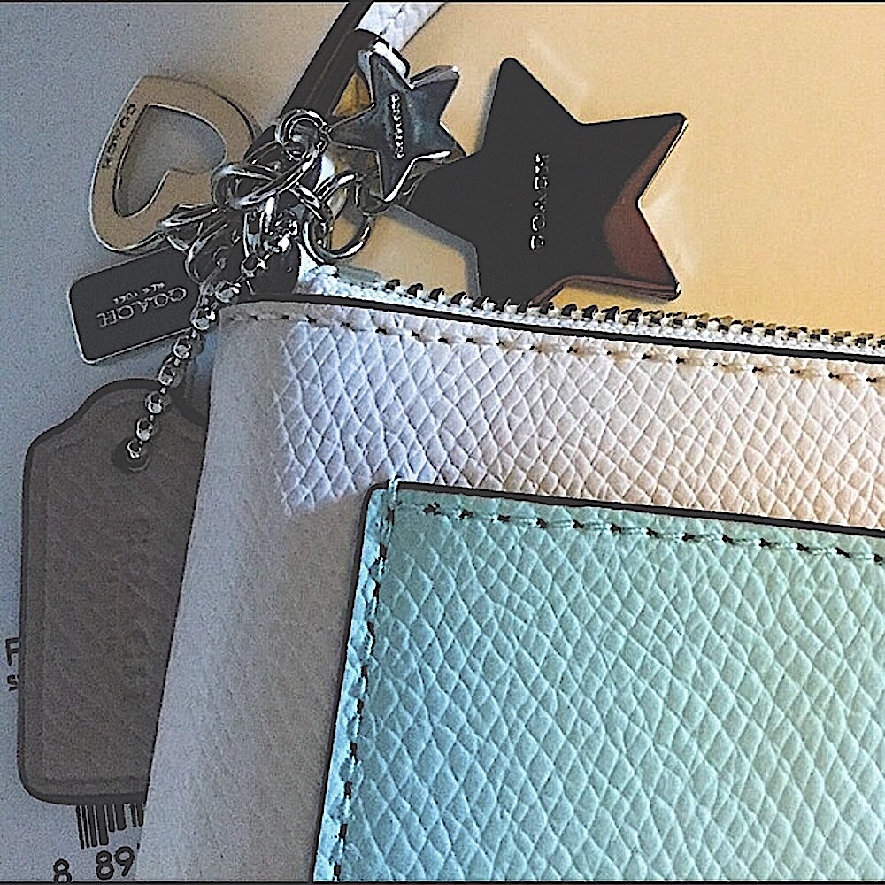 🎉HP🎉COACH (MULTIPLE CHARMS) CORNER ZIP WRISTLET/color:silver/sea glass/chalk - Picture 2 of 15